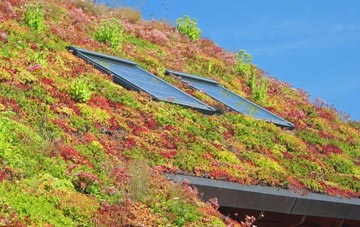 Wethersta living roof systems
